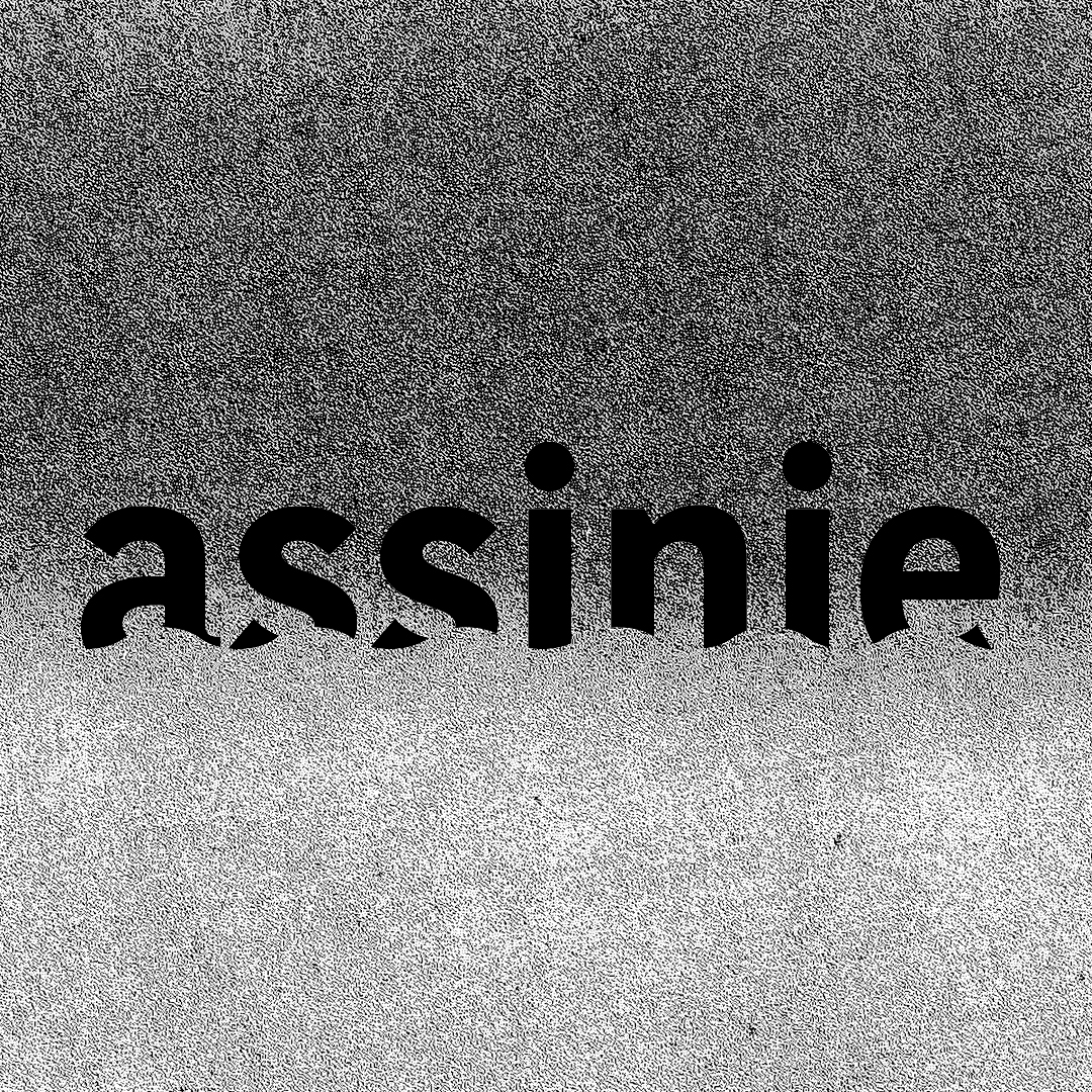 Identité visuelle pour le label belge Assinie.